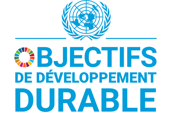 F_SDG_logo_with_UN_Emblem_rgb.jpg