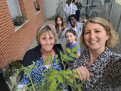 annick plants tomates.jpg