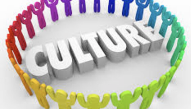 image culture  - copie.png